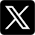 X Icon